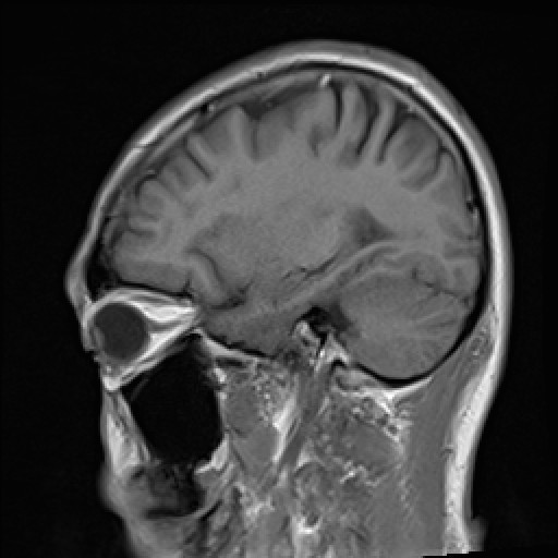 Click on the Serie image to view the images of VILLANUEVA, WILLIAM A.